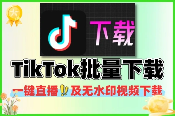 抖音TikTok一键下载器直播及无水印下载视频批量下载